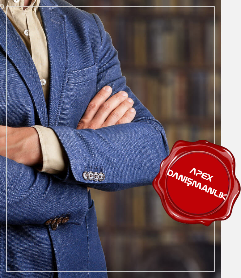 apexdanismanlikhizmetleri